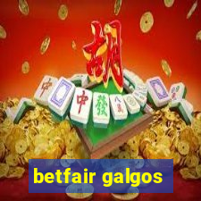 betfair galgos